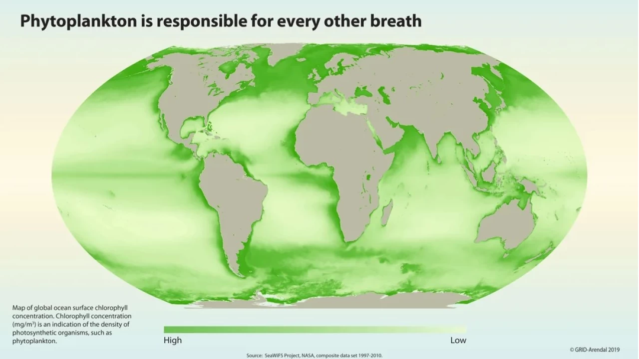Isnan Denizler Yaamn Temelini Sarsyor
