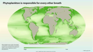 Isnan Denizler Yaamn Temelini Sarsyor