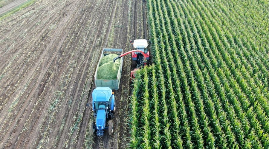 ��tah a��yor, s�t verimini artt�r�yor