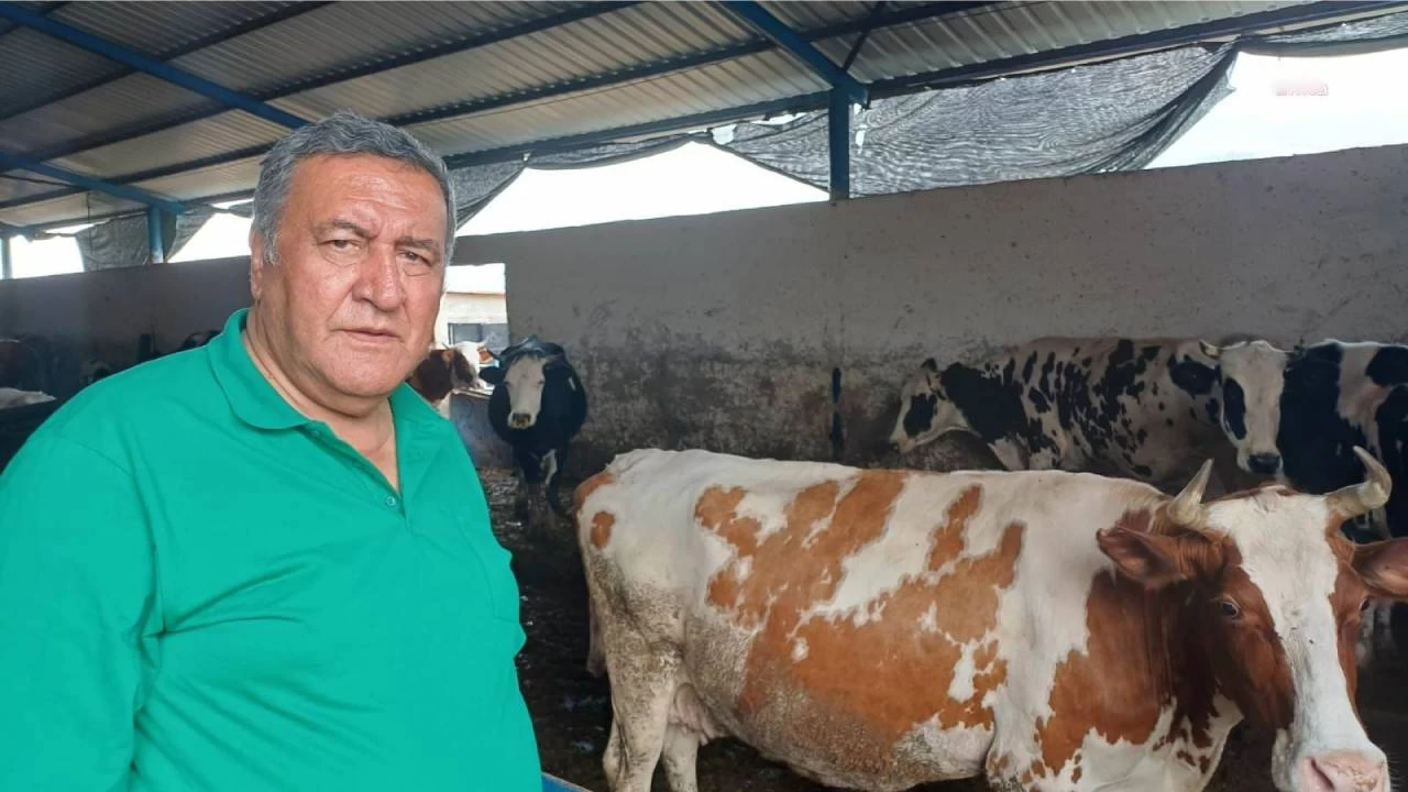 'thalata ramen et ve st sorunu devam ediyor'