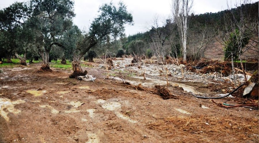 zmir'de sel tarm arazilerini vurdu