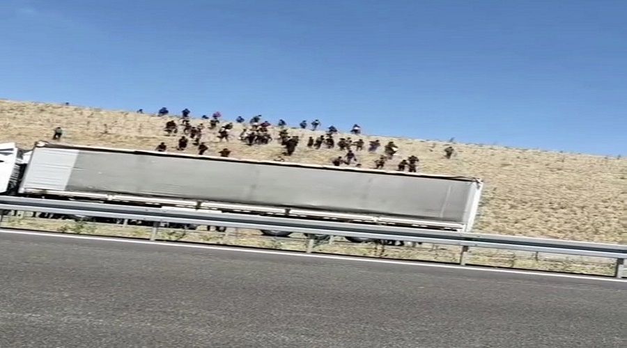 Kaçak göçmenleri otoyolda bıraktılar