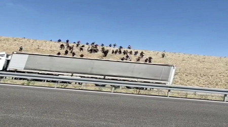 Kaçak göçmenleri otoyolda bıraktılar