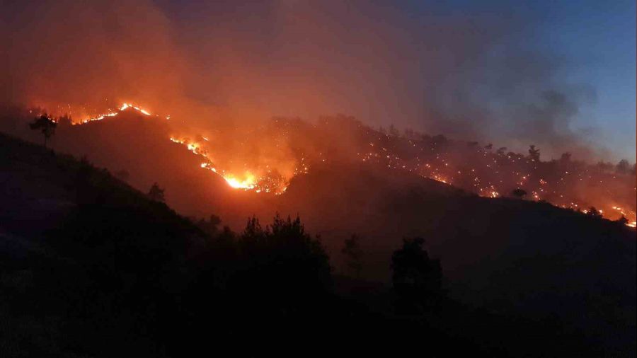 Kahramanmaraş'ta orman yangınına müdahale sürüyor