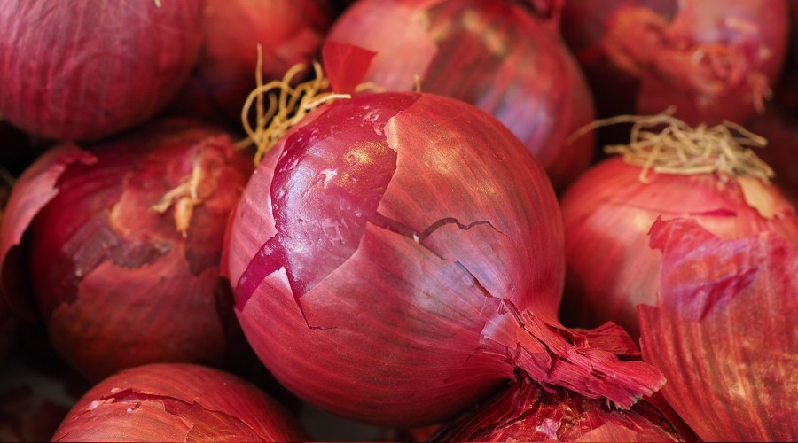 Kanada’da Salmonella paniği
