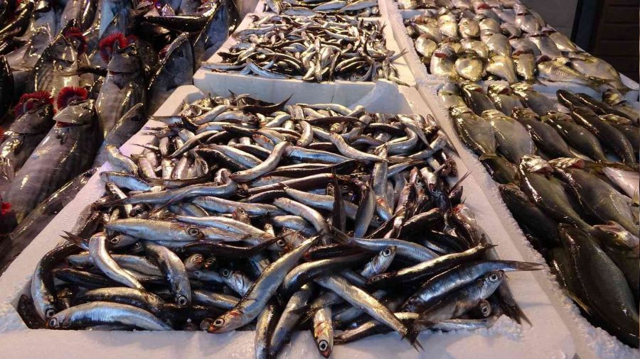 Karadeniz hamsisi tezgâhlarda yerini aldı