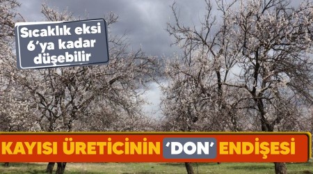Kayısı üreticisinin 'don' endişesi