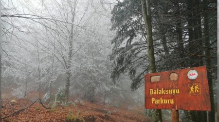 Kazdalar'na mevsimin ilk kar yad