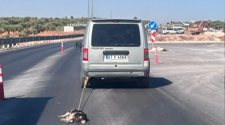 Köpeği aracına bağlayıp sürükledi