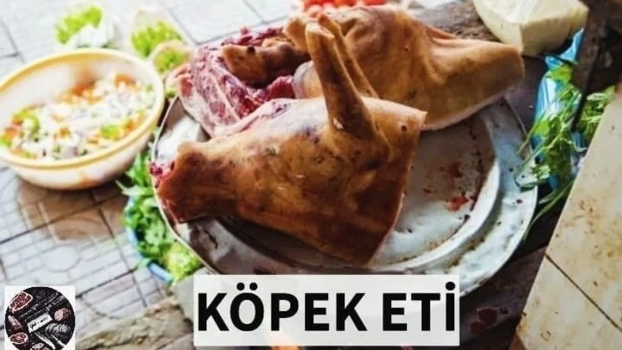 Köpek eti satışı iddiasında gerçek ortaya çıktı