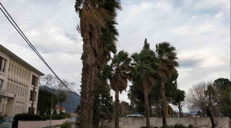 Köyceğiz'de rüzgar ve fırtına etkisini sürdürüyor