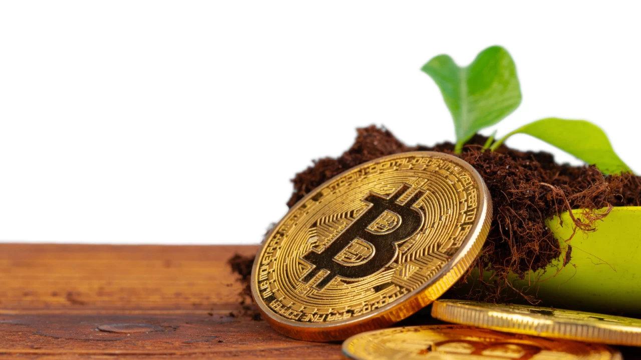 Kripto paralar hakkında bilmeniz gereken her şey: Bitcoin kılavuzu