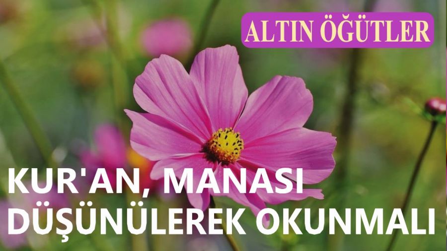 �Kur�an, manas� d���n�lerek okunmal�� 