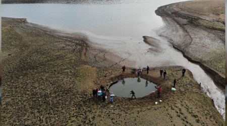 Kuruyan Ömerli Barajı'nda balıkları kurtarma operasyonu