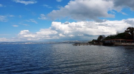 Kuşadası Belediyesi ağaçları dona karşı nasıl koruyor