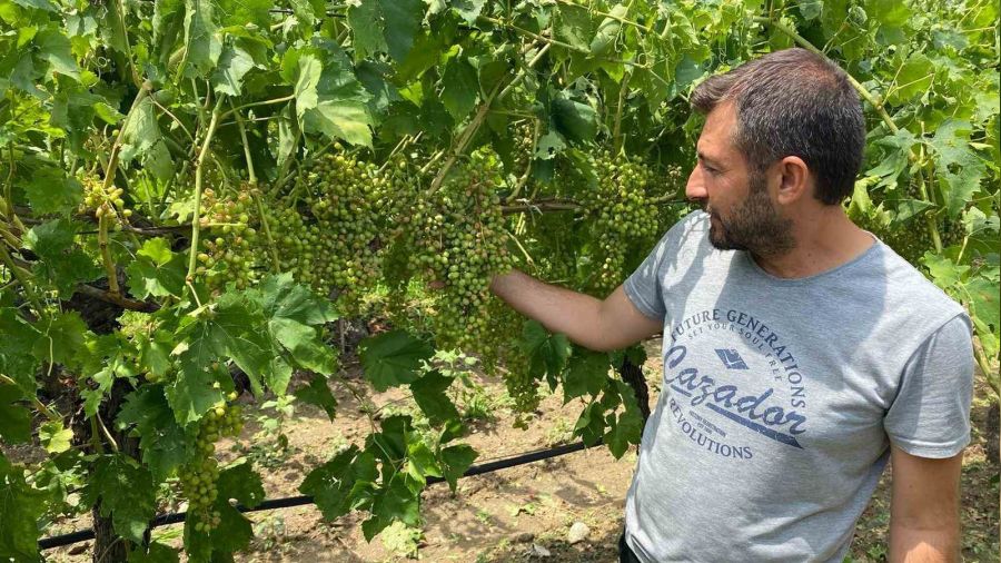 Manisa'daki fırtına ve dolunun yol açtığı zarar tespit ediliyor