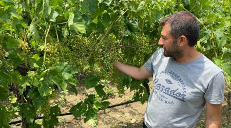 Manisa'daki fırtına ve dolunun yol açtığı zarar tespit ediliyor