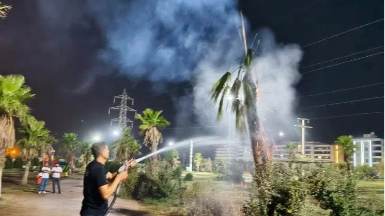 Mardin'de palmiye aac atee verildi