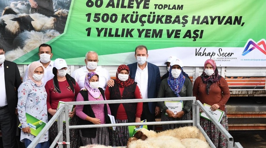Mersin'de 60 üreticiye bin 500 küçükbaş hayvan desteği