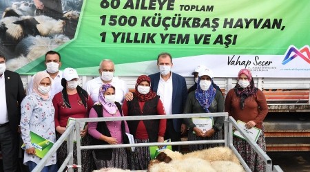 Mersin'de 60 üreticiye bin 500 küçükbaş hayvan desteği