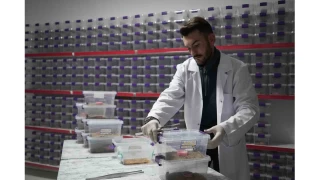 Nide'den dnyaya 'akrep zehri' ihracat