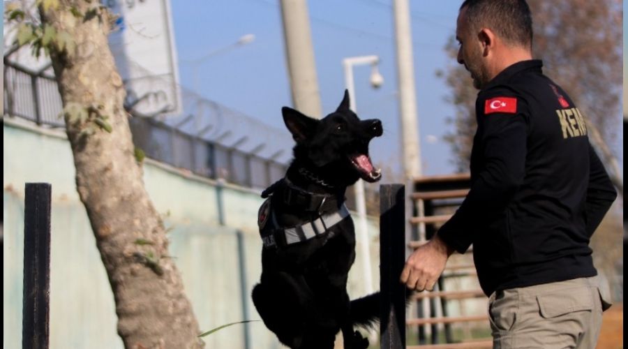 Onlar zehir tacirlerinin korkulu rüyası