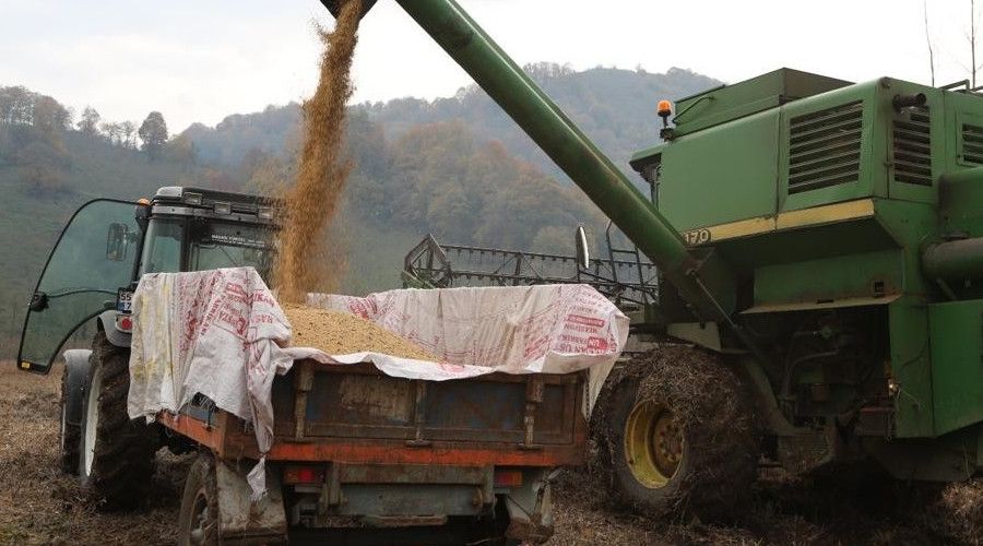 Ordu'da at�l araziler tar�ma a��l�yor