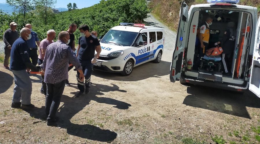 Ordu'da kesti�i a�ac�n alt�na kalan ya�l� �ah�s, 112 ekiplerince kurtar�ld�