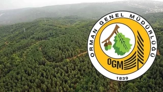 Orman Genel Mdrl personel alm kuras ne zaman?