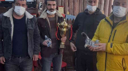 Otomobil fiyatına güvercin