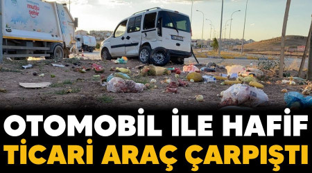 Otomobil ile hafif ticari ara arpt