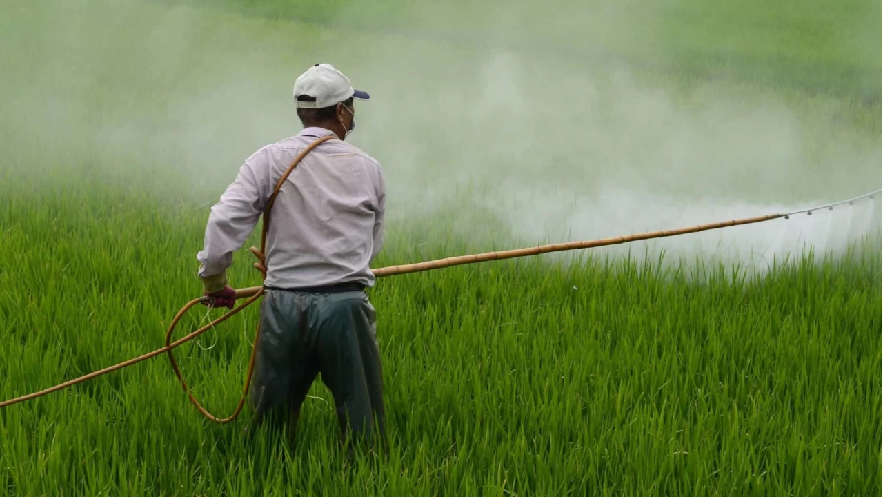 Pestisit Kalıntısı Alarmı
