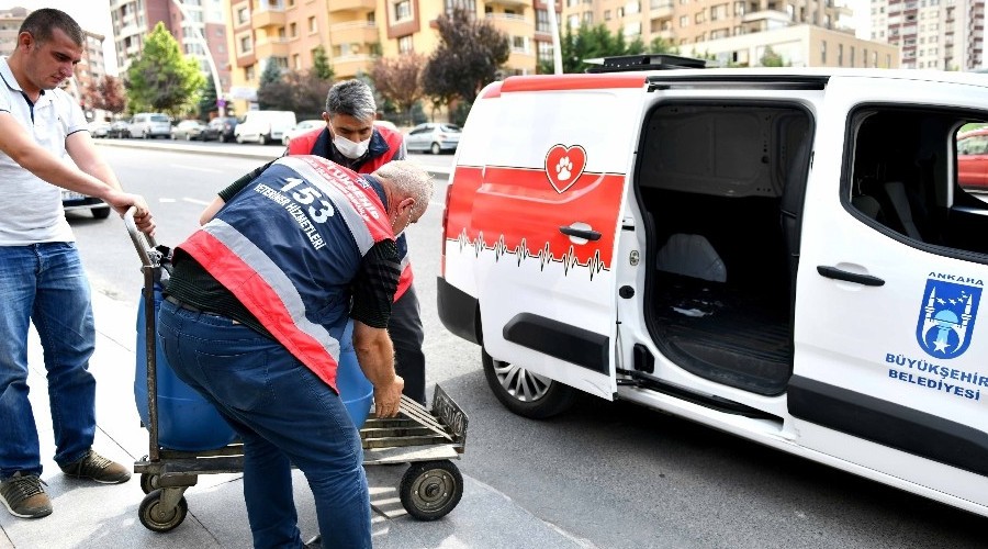 Restoranlardaki artık yiyecekler sokak hayvanlarına