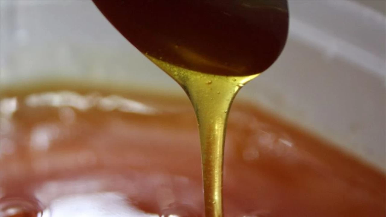 Sahte bal nasıl anlaşılır?