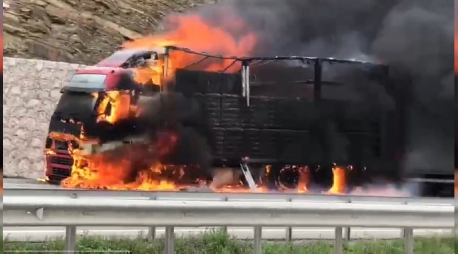 Samsun'da 600 bin liral�k pamuk yand�