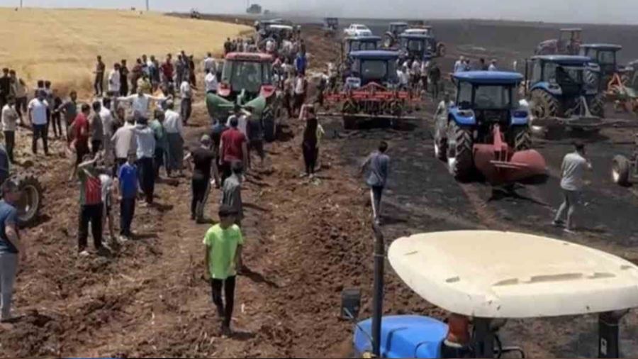 �anl�urfa'da 60 d�n�m bu�day k�l oldu