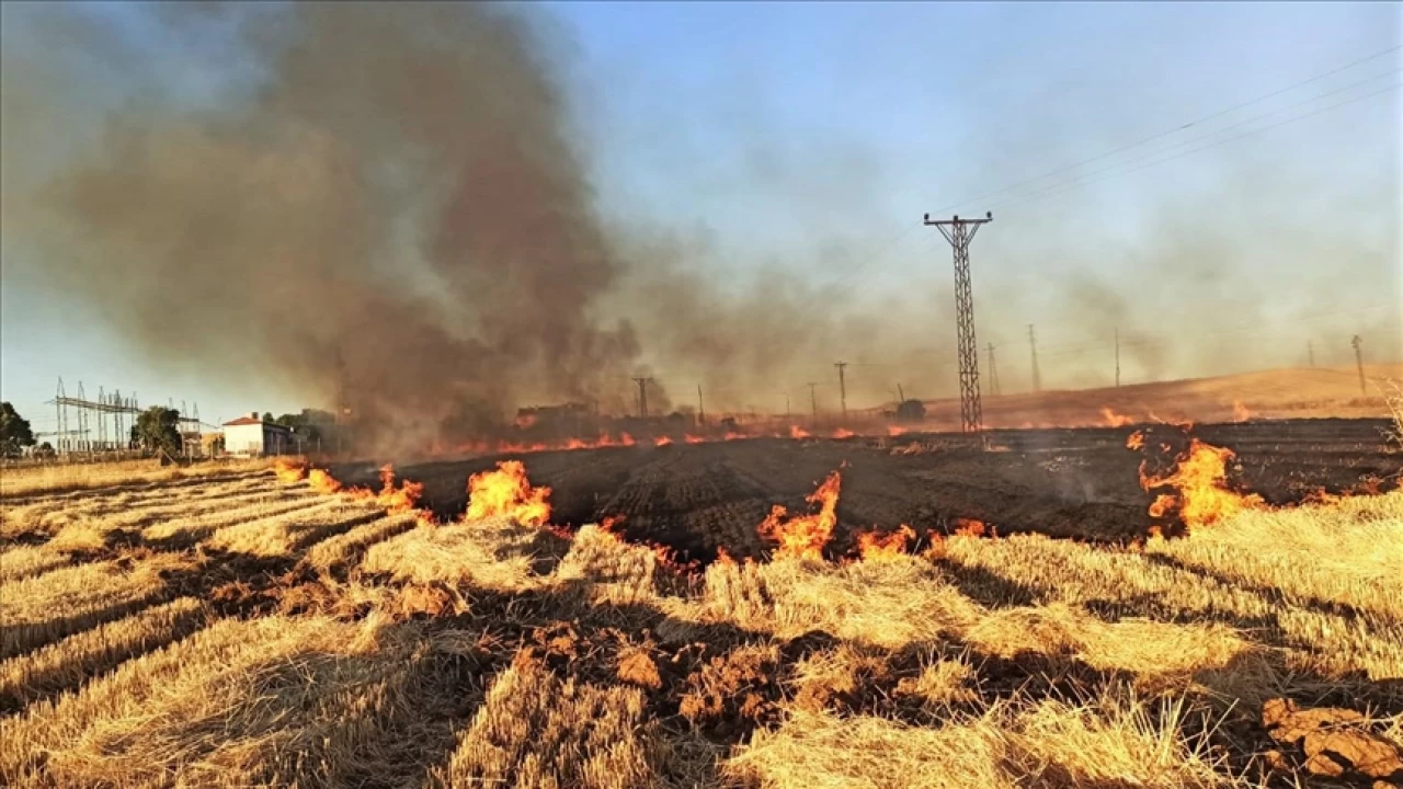 Şanlıurfa'da anız yakanlara ceza