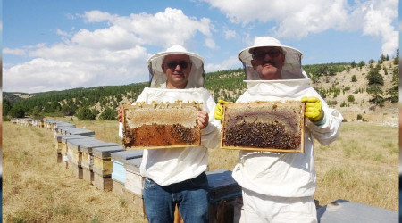 Sedir balı arıcının yüzünü güldürüyor