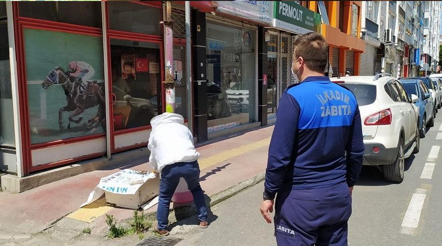 Şehre inen arılara zabıta ekipleri müdahale etti