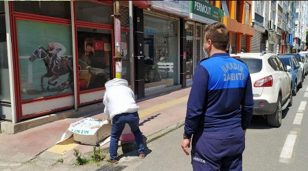 Şehre inen arılara zabıta ekipleri müdahale etti