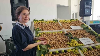 Sezonun ilk kuru inciri 600 TL'den satld
