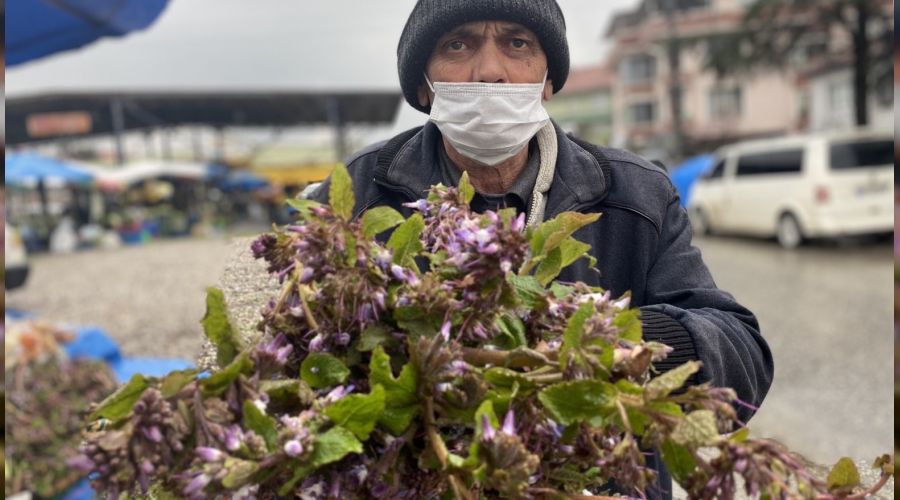 Şifa kaynağı kaldirik otu tezgahta yerini aldı