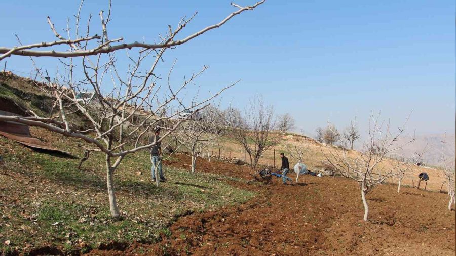 Siirt'te kuraklk endiesi iftileri korkutuyor