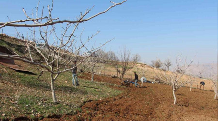 Siirt'te kuraklk endiesi iftileri korkutuyor