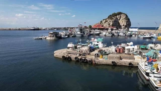 ile'de bu yl palamut av beklenenin ok altnda kald