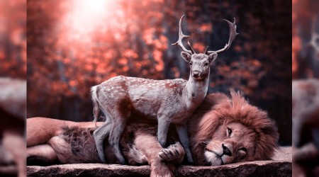 Sizde de uyku apnesi olabilir