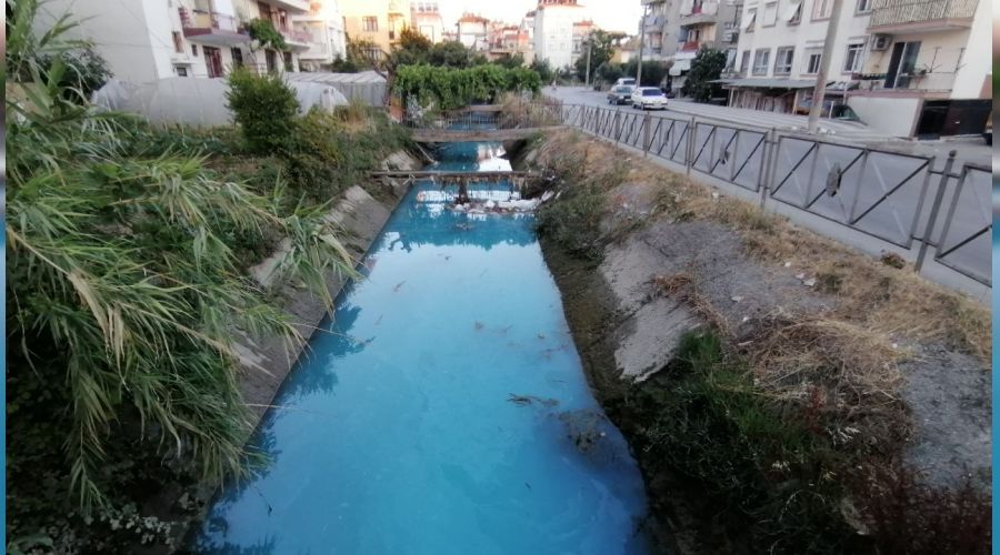 Sulama kanal�na at�k bast�lar