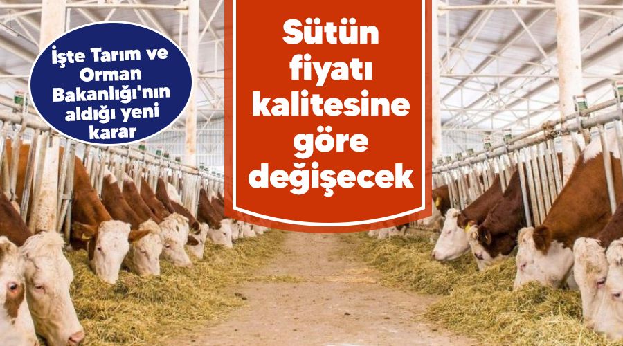 S�t�n fiyat� kalitesine g�re de�i�ecek