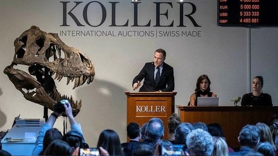 T-Rex cinsi dinozor iskeleti 6,2 milyon dolara sat�ld�
