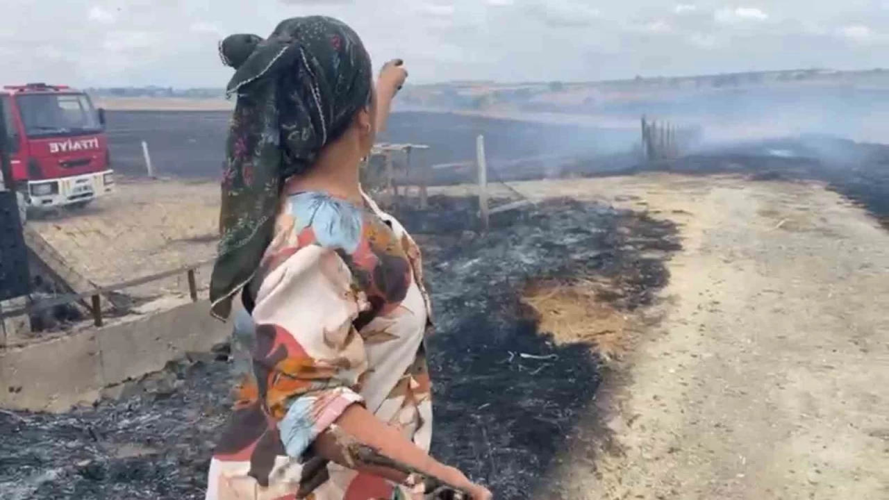 Tekirda'da kan yangn yerleim alanlarn tehdit etti